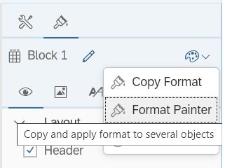 format-painter-option-bi-4-3-sp02