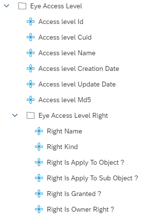 eyes-sap-bo-access-level-extract-rightsinformation