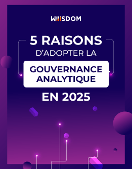 cover-gouvernance-analytique-wp-2025 cover-gouvernance-analytique-wp-2025