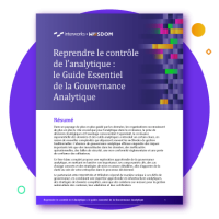 cover-wp-guide-gouvernance-analytique cover-wp-guide-gouvernance-analytique