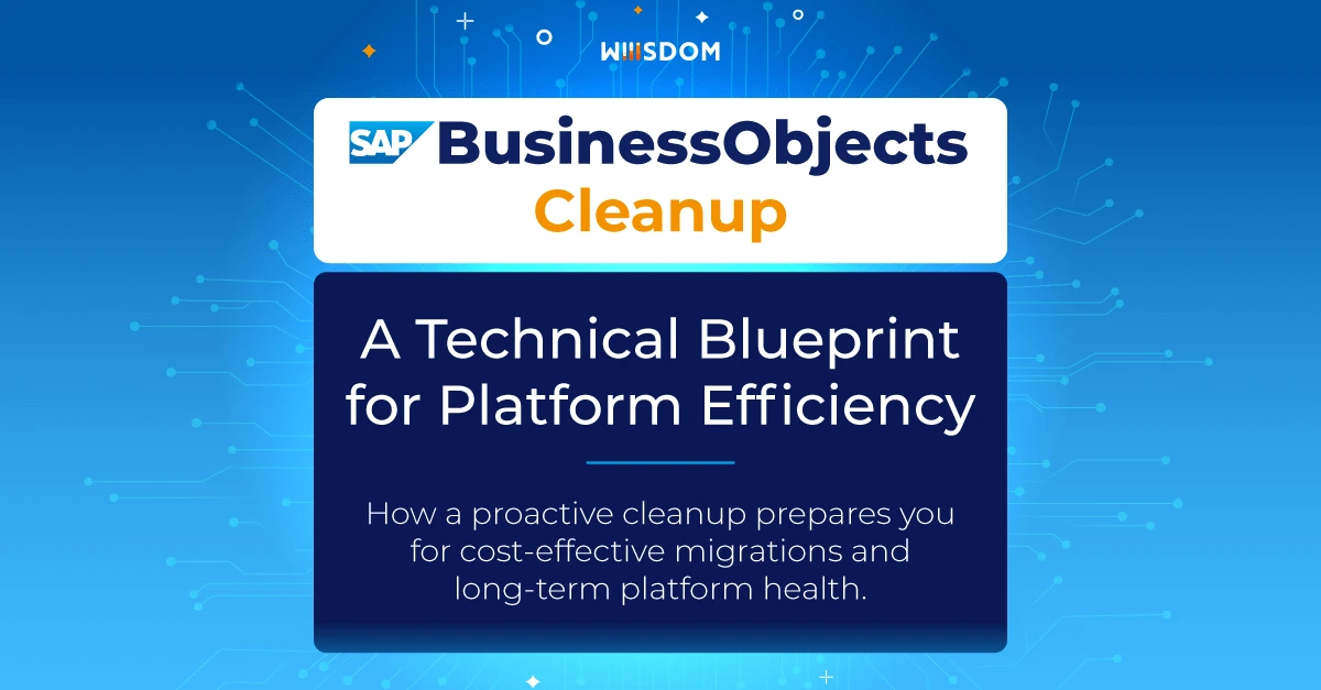 cover-ebook-sap-businessobjects-cleanup