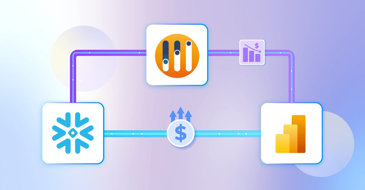 banner-optimize-snowflake-costs