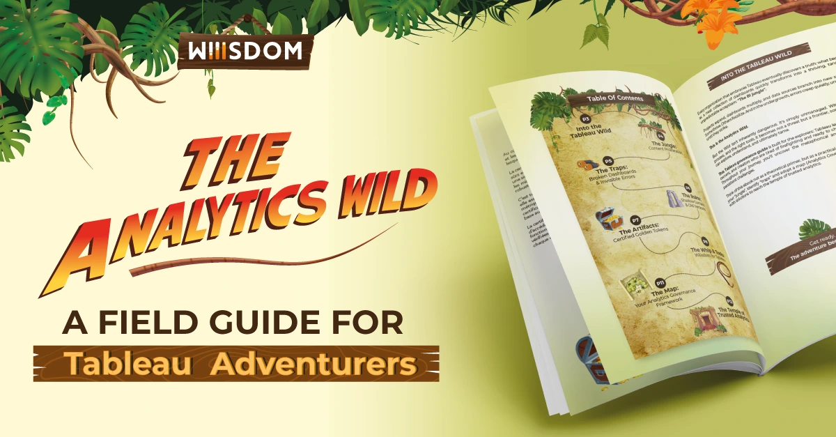 banner-ebook-the-analytics-wild