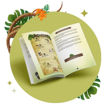 cover-ebook-analytics-wild-tableau