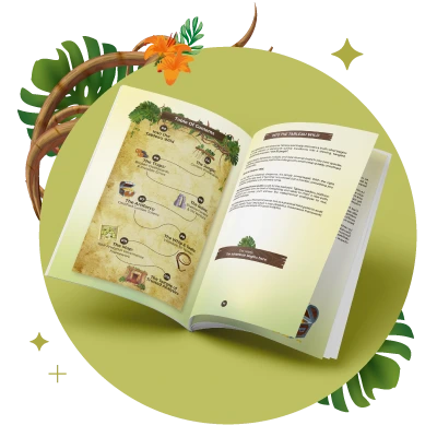 cover-ebook-analytics-wild