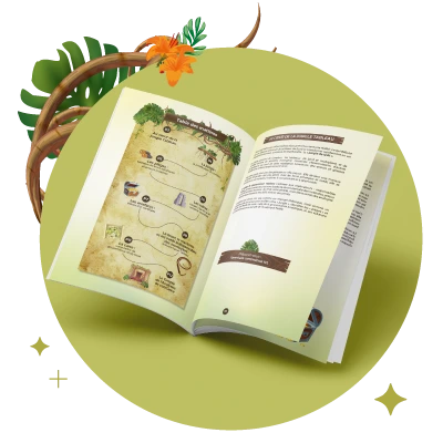 cover-ebook-jungle-analytics